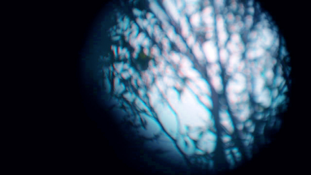 through the looking glass